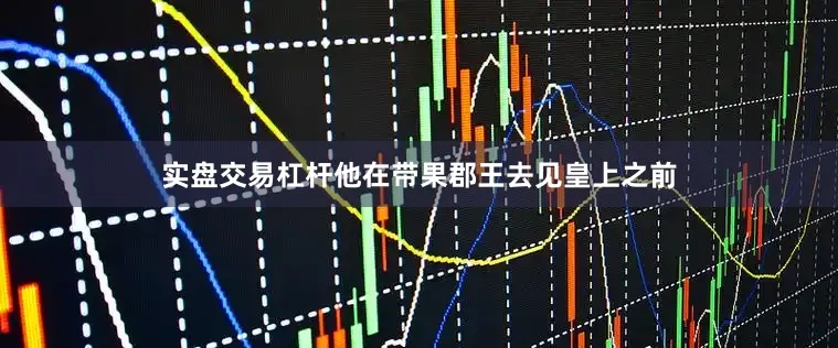 实盘交易杠杆他在带果郡王去见皇上之前