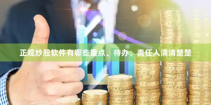 正规炒股软件有哪些重点、待办、责任人清清楚楚
