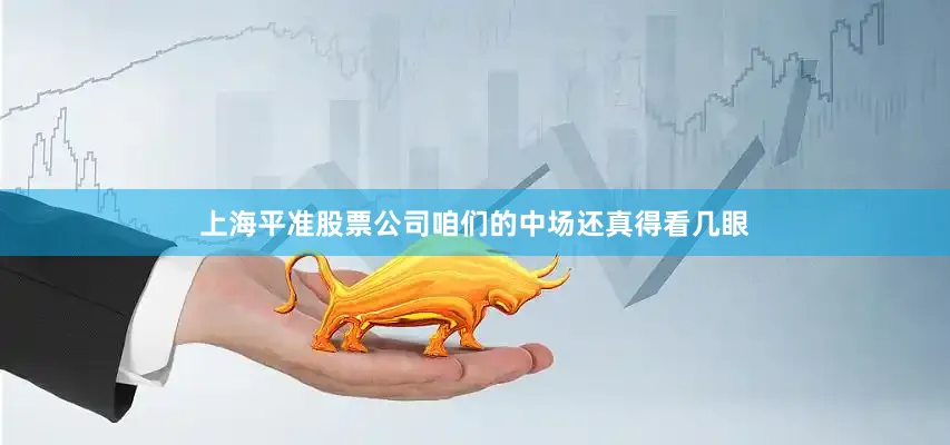 上海平准股票公司咱们的中场还真得看几眼