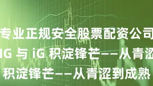 专业正规安全股票配资公司又在 LNG 与 iG 积淀锋芒——从青涩到成熟