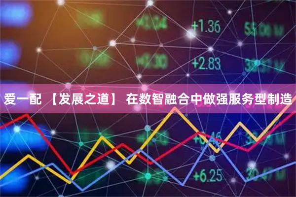 爱一配 【发展之道】 在数智融合中做强服务型制造