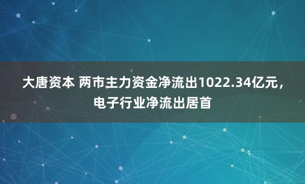 大唐资本 两市主力资金净流出1022.34亿元，电子行业净流出居首